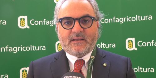 statti confagricoltura