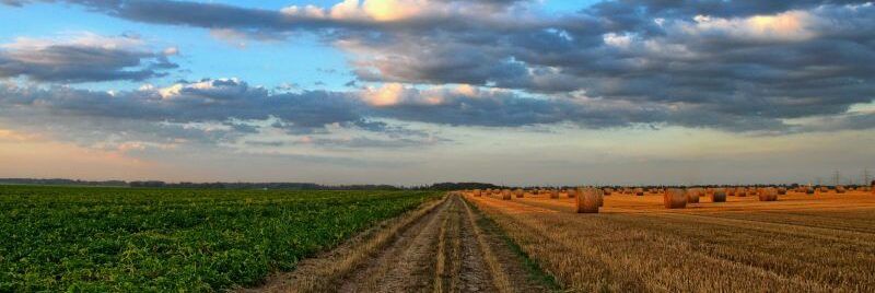 Ok di Confagricoltura a Dl Sviluppo Tea e registro crediti di carbonio