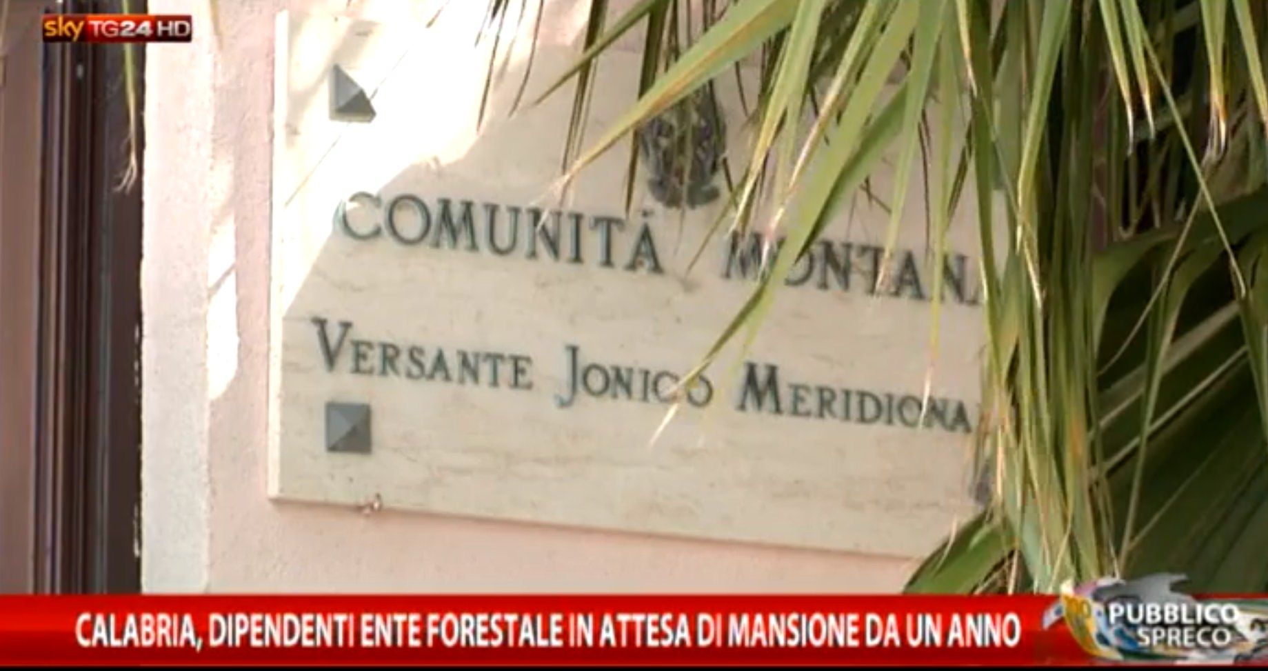 Gli "sfaccendati" di Calabria Verde