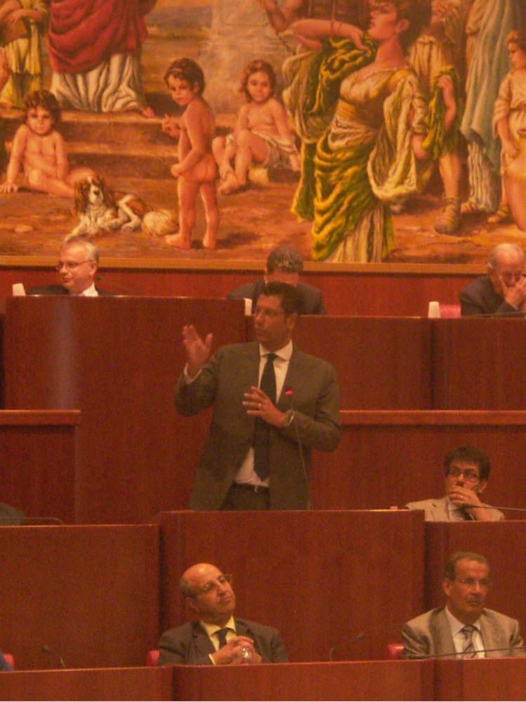 ARSSA/AFOR | I paletti della minoranza