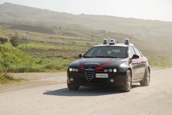 Abbattono querce secolari, un arresto e due denunce nel Vibonese