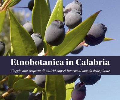 Oliver Sacks e le nostre “cliniche dei risvegli”