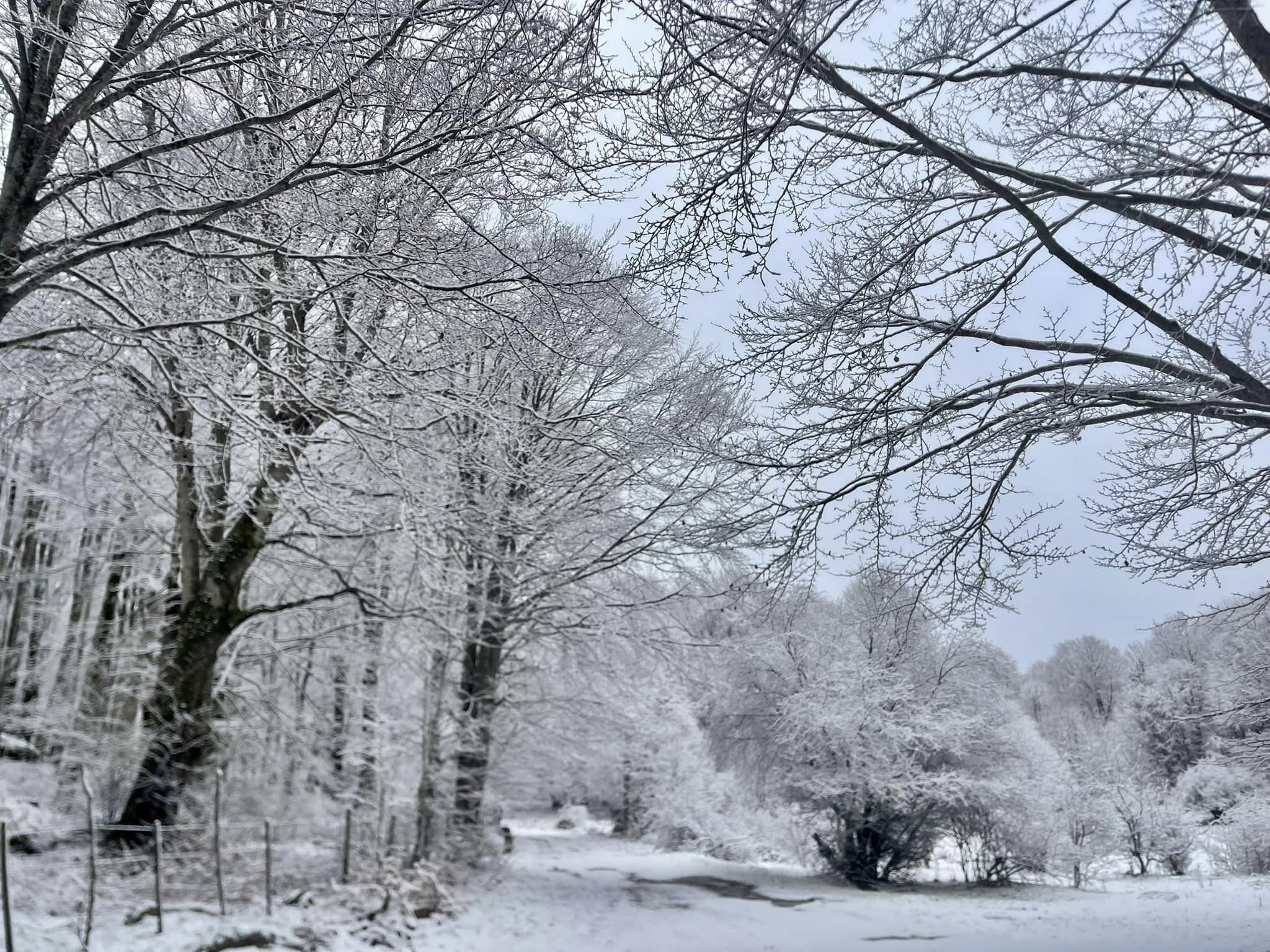 Nevica in Calabria, imbiancati Pollino e Sila – FOTO