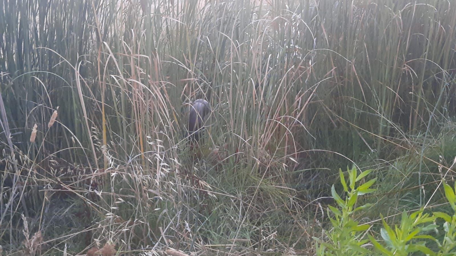 Spreco di acqua, la denuncia del Consorzio di bonifica della Calabria – VIDEO