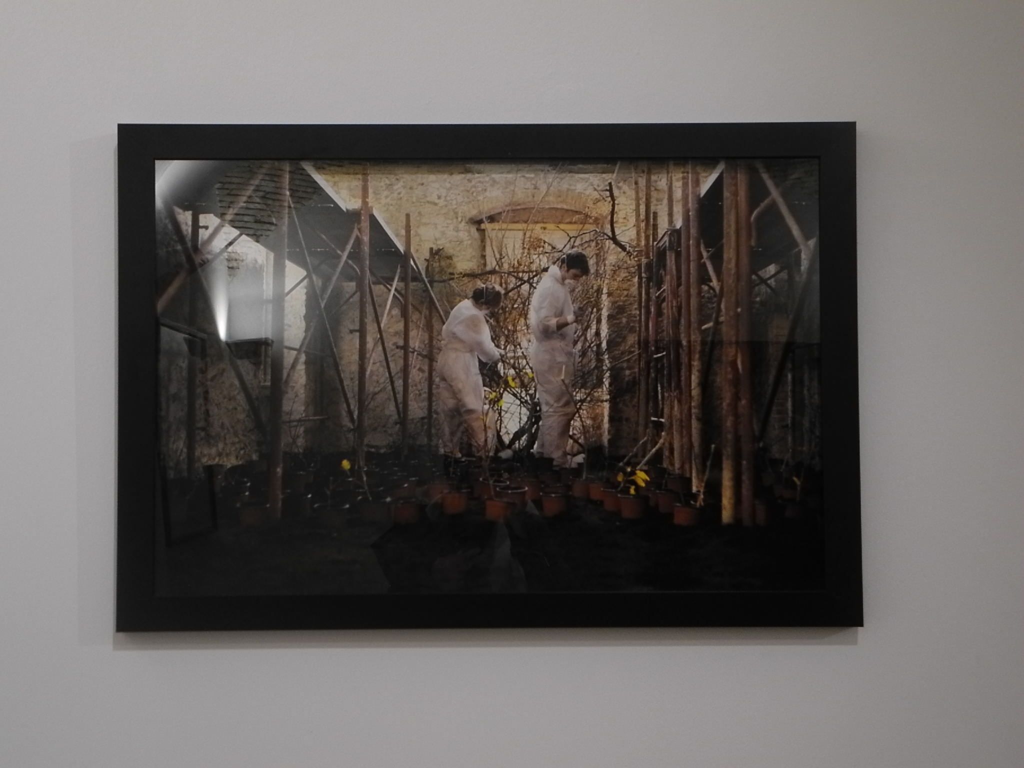 Inaugurata al Museo MARCA la mostra di Maria Luigia Gioffrè