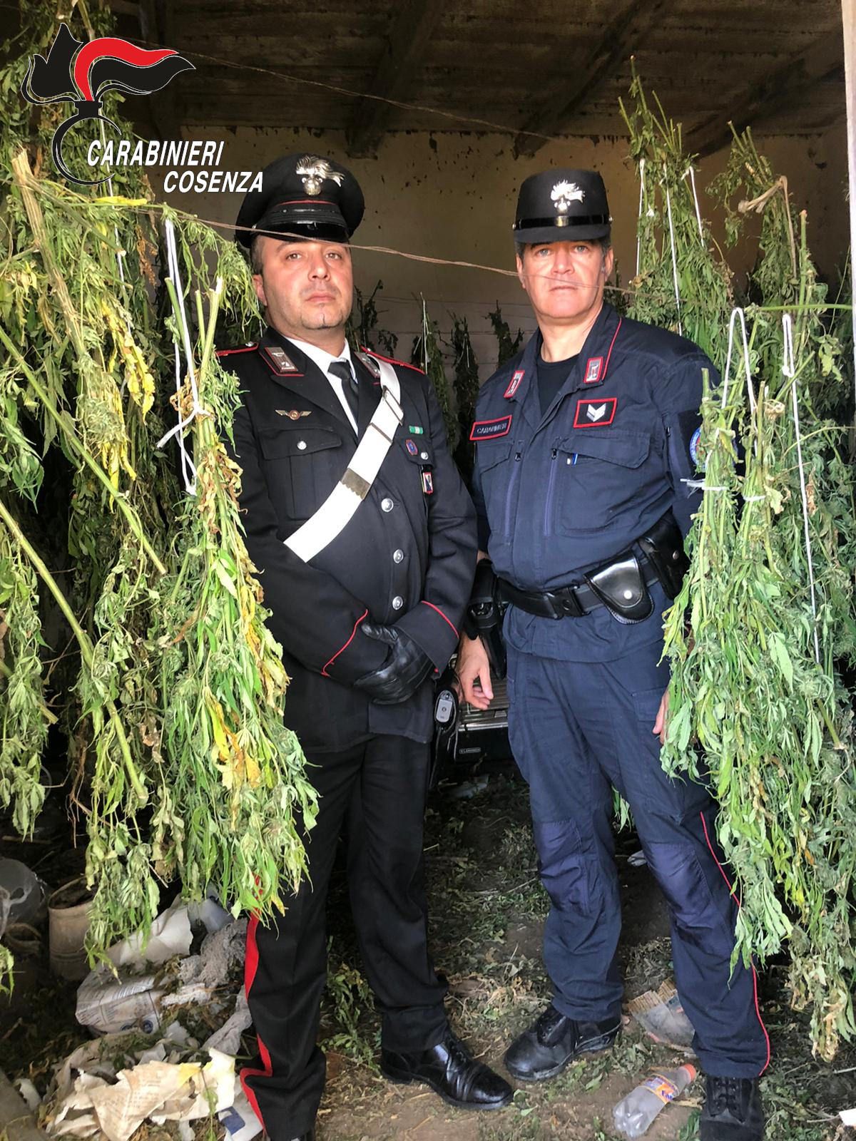 Laboratorio di droga a «conduzione familiare» padre e figlio finiscono in manette