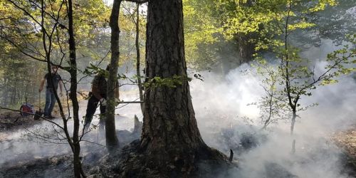incendio-aspromonte-guide-parco