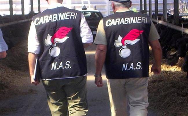 Satriano, il Nas sequestra 5 tonnellate di carne avariata