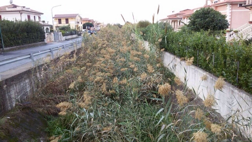 Manutenzione ai canali di Scalea, soddisfatti Gallo e De Caprio