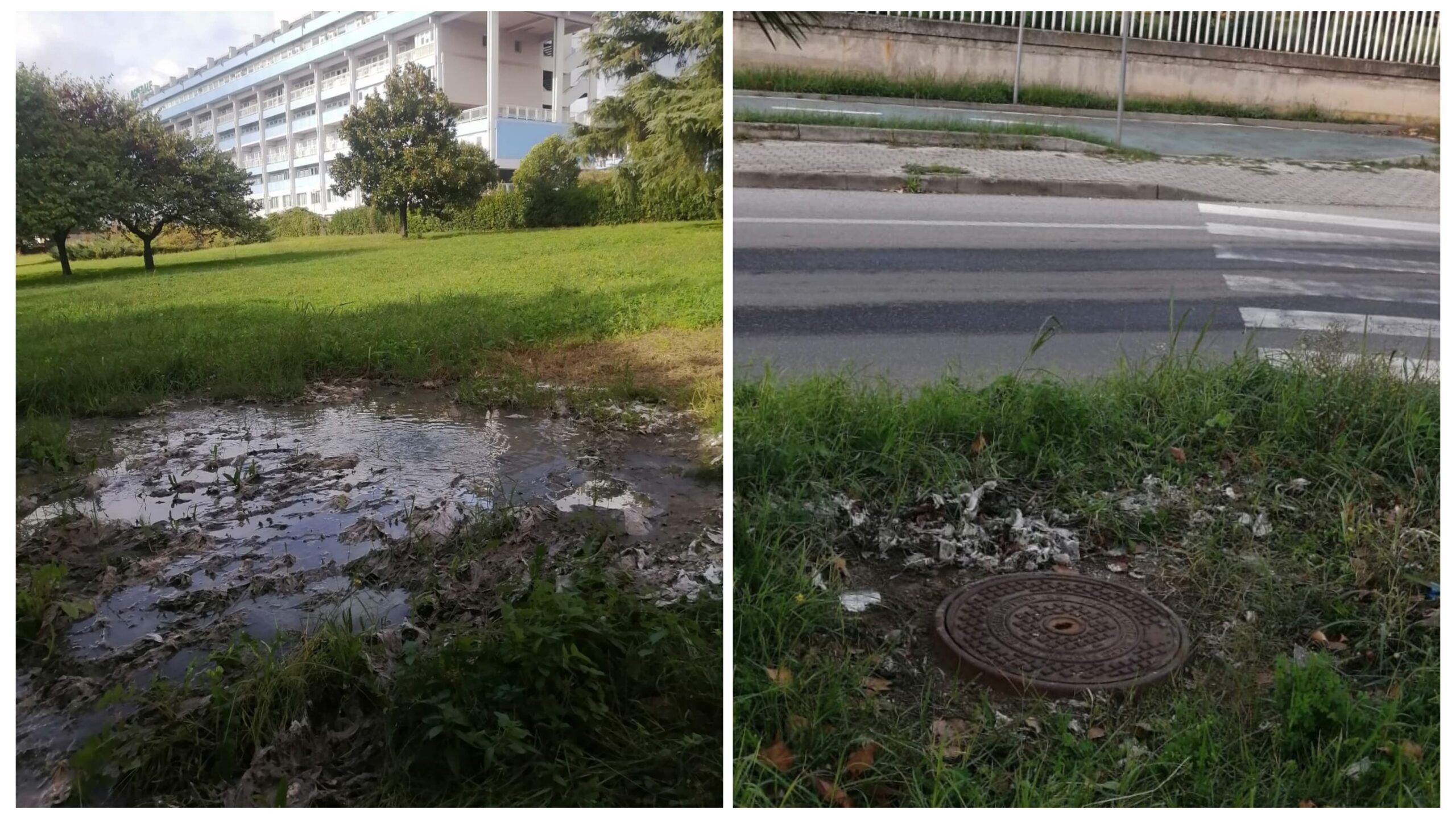 Ospedale di Lamezia, rifiuti e liquami. La denuncia: «Degrado insostenibile»
