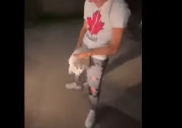 Catturano, seviziano e lanciano un gattino: denunciati 3 ragazzi a Polistena