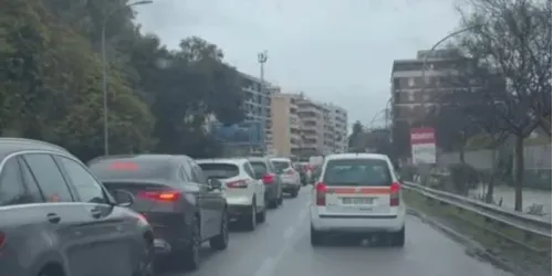traffico roges petizione