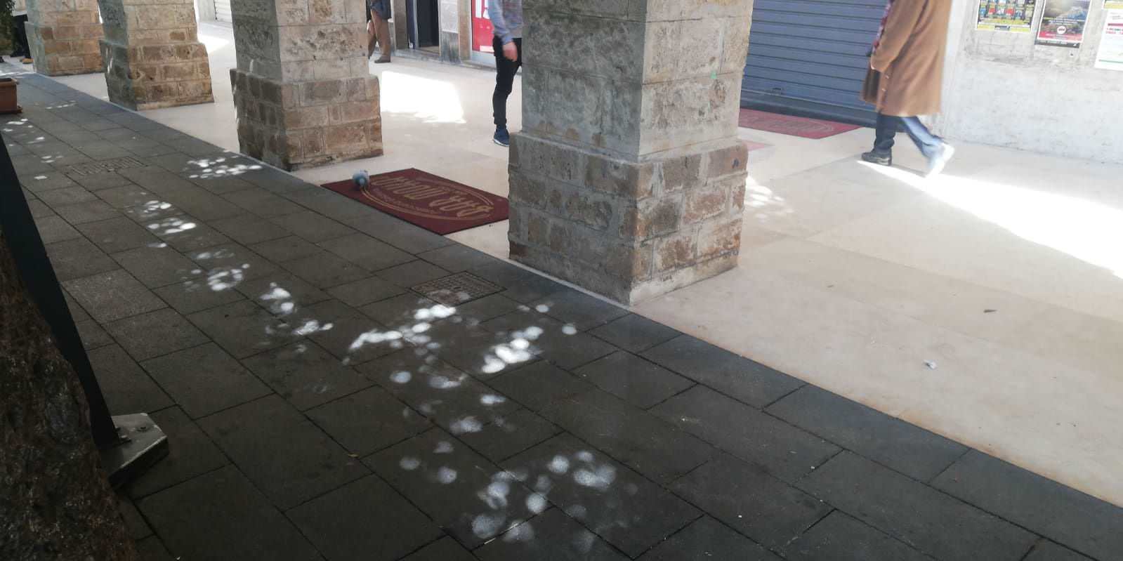 Omicidio D'Arca, il Riesame scarcera Giuseppe Cortese