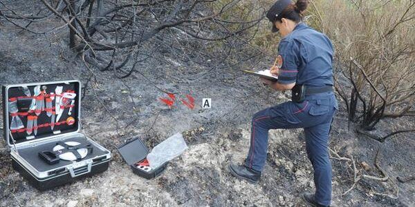 Incendi, in un mese e mezzo 22 violazioni accertate dai carabinieri forestali nel Catanzarese