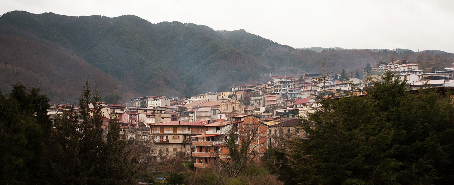 «Viabilità al collasso nelle aree interne»: il grido d’allarme di Confagricoltura Reggio Calabria