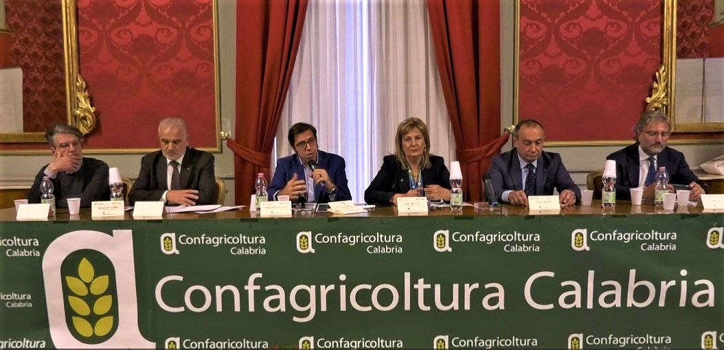 Nuova Pac, il giudizio «non positivo» di Confagricoltura Calabria