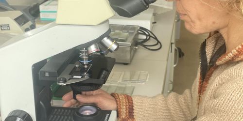 elisabetta pellegrini biologa