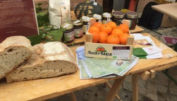 “Regenera”, tra suolo, biodiversità e cibo: Vibo ospita la rassegna agroecologica