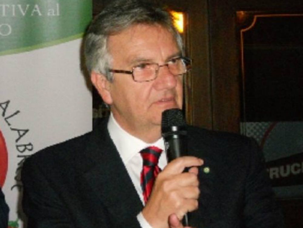 Sanità, Dattola: «Tre cardiochirurgie in Calabria sono possibili»