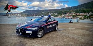 Tre auto incendiate a Vibo Marina, i Carabinieri individuano i presunti responsabili