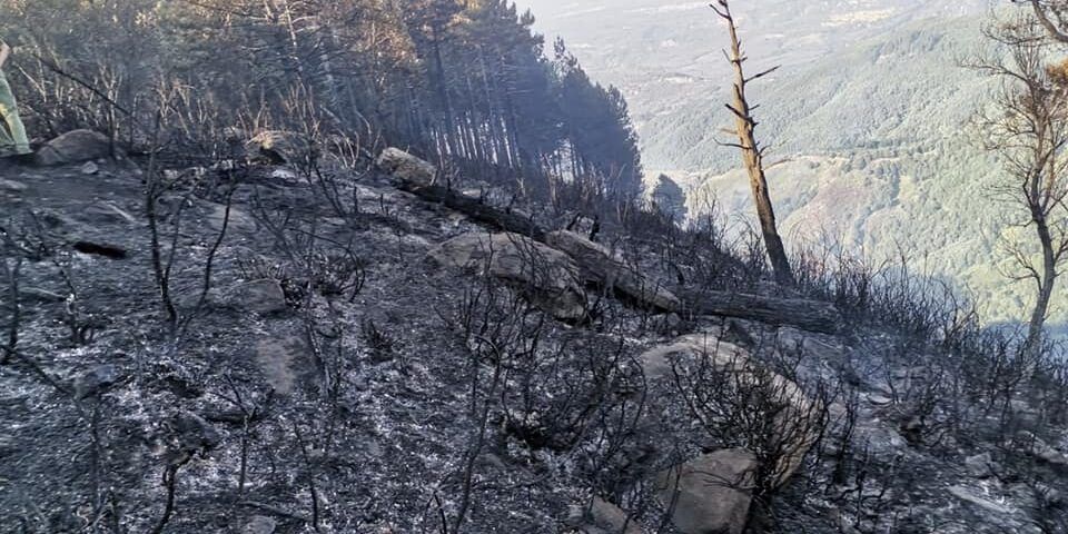 Aspromonte, l’impatto degli incendi sulla sentieristica. Le guide: «Coinvolti 70 km di itinerari»