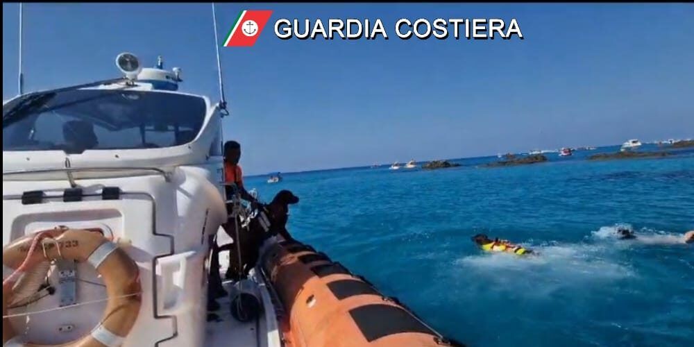 Guardia costiera, esercitazione in mare con i cani di salvataggio
