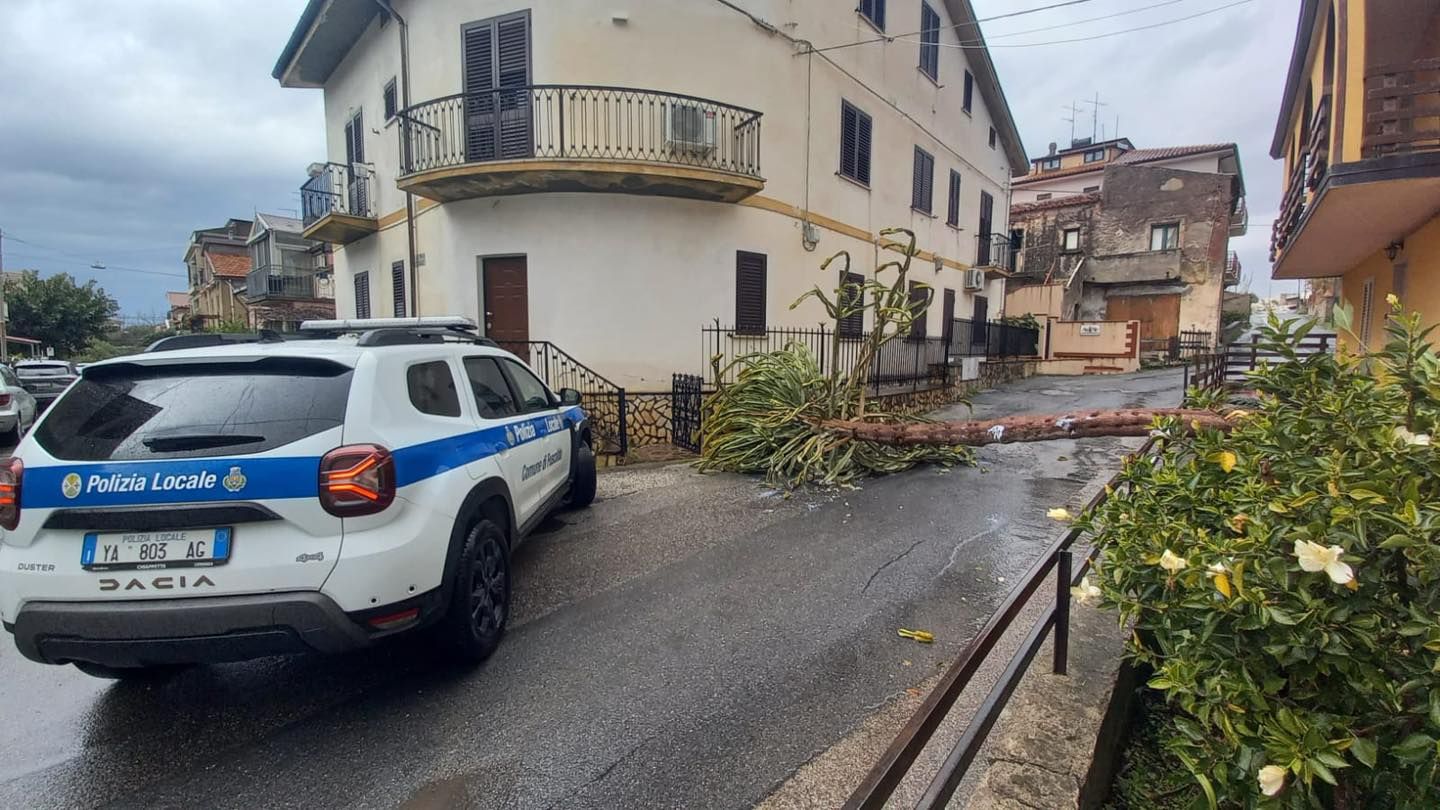 La Calabria colpita dal maltempo: strade allagate, danni e alberi caduti – FOTO