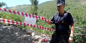 Parco del Pollino, taglio abusivo e pista illegale: denunciato titolare di una ditta boschiva