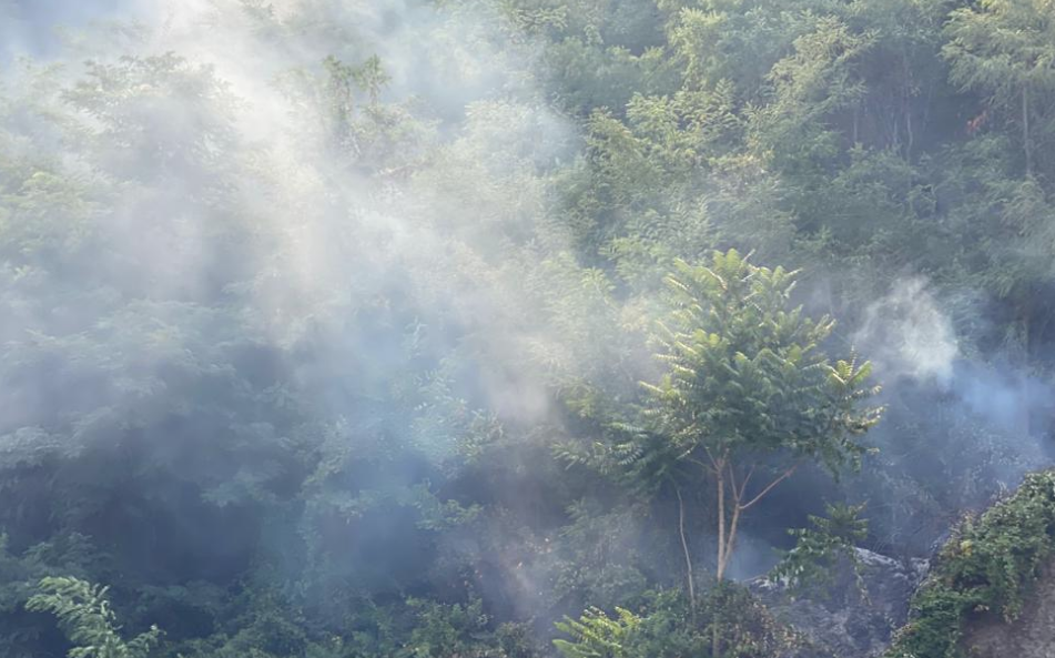 «La Calabria continua a bruciare. Servono azioni e investimenti, mezzi e prevenzione»