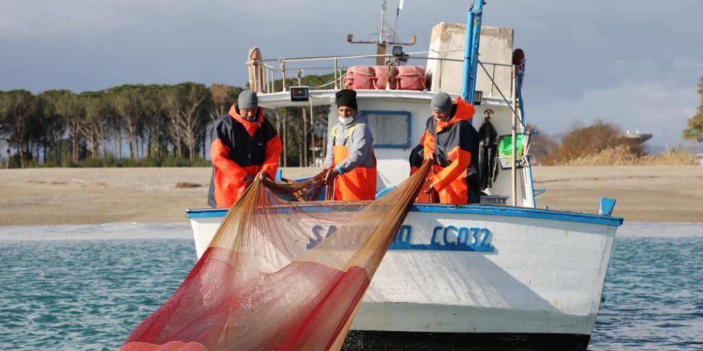Pesca della sardella, la Regione dà il via alla campagna sperimentale