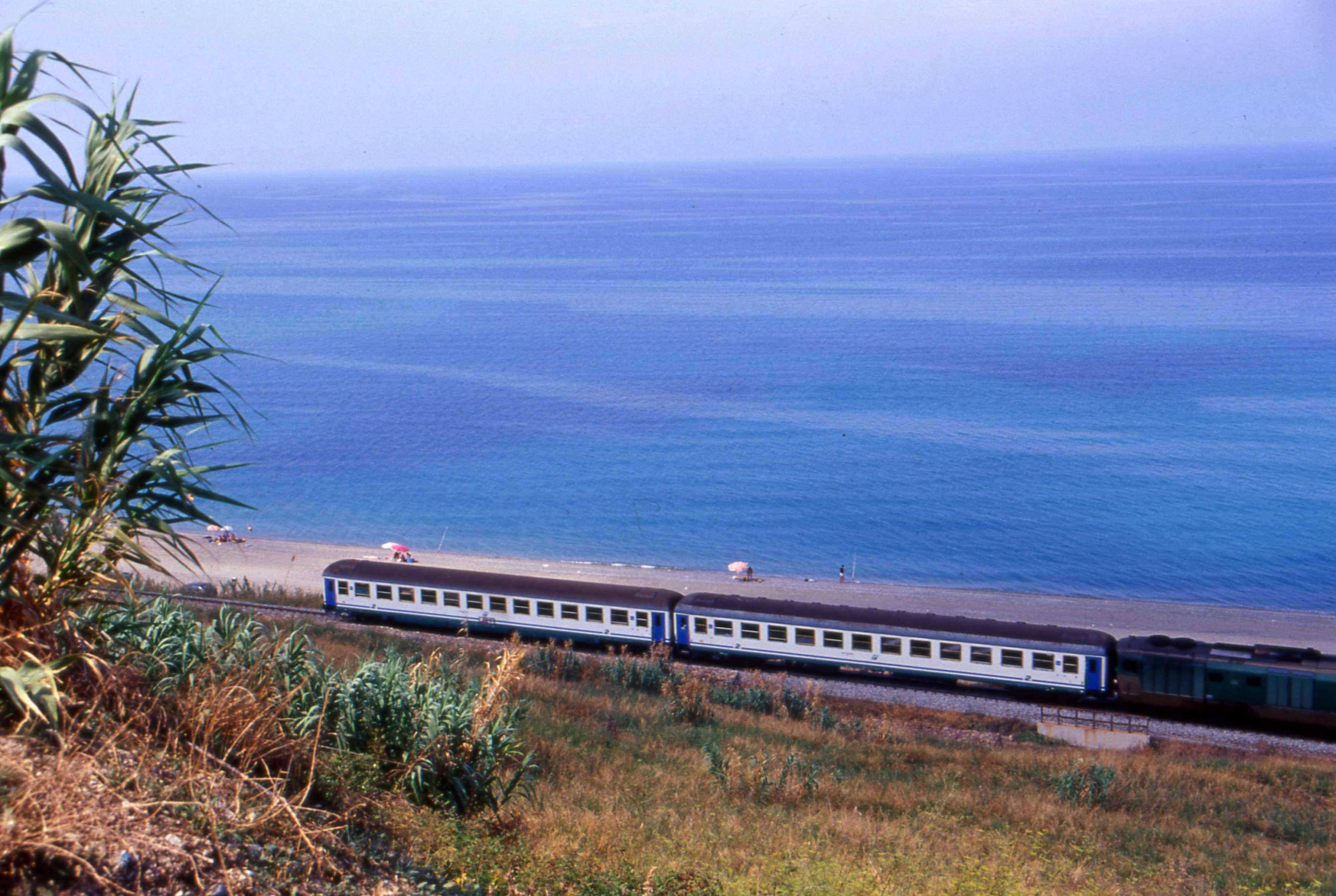 Paura sui binari, tre cavalli investiti da un treno