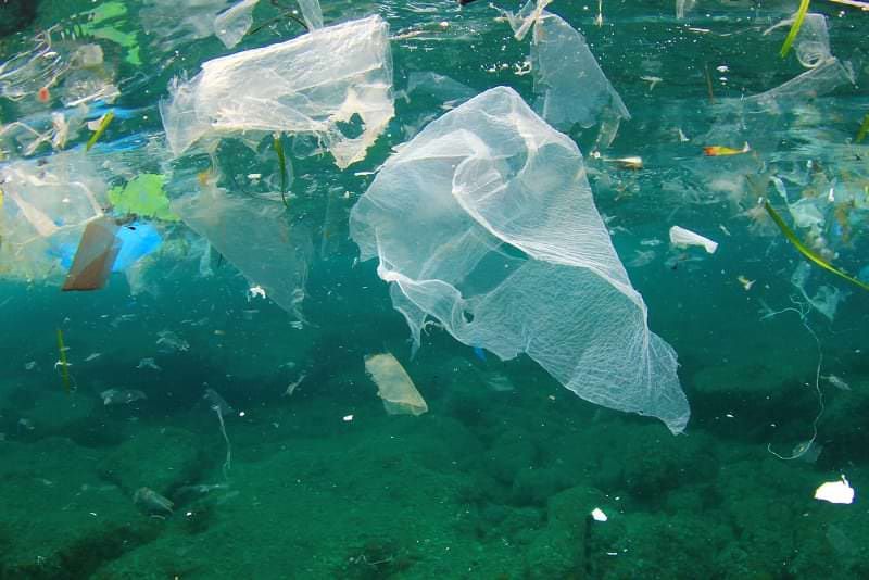 Reggio, primo passo verso il “plastic-free”