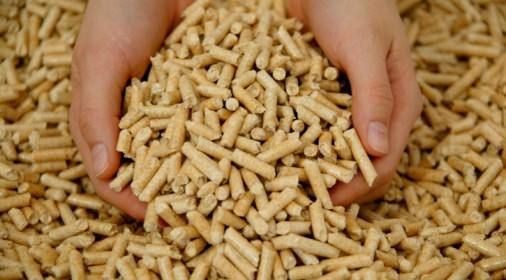 La truffa del pellet che parte da Prato e arriva a Mendicino