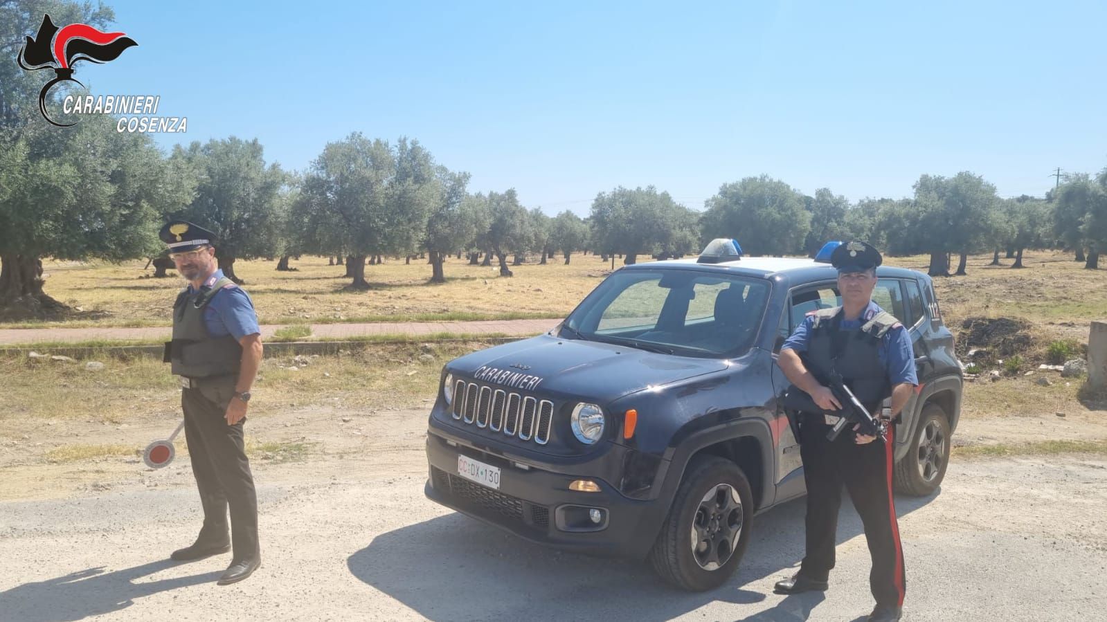 Corigliano Rossano, 32enne arrestato per furto di legna