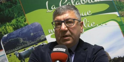 Siccità in Calabria, l’analisi di Giovinazzo: «Tra le stagioni peggiori, abbiamo fatto il massimo»