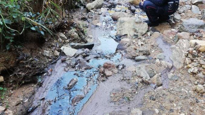 Smaltiva illegalmente i reflui, arrestato il proprietario di un frantoio