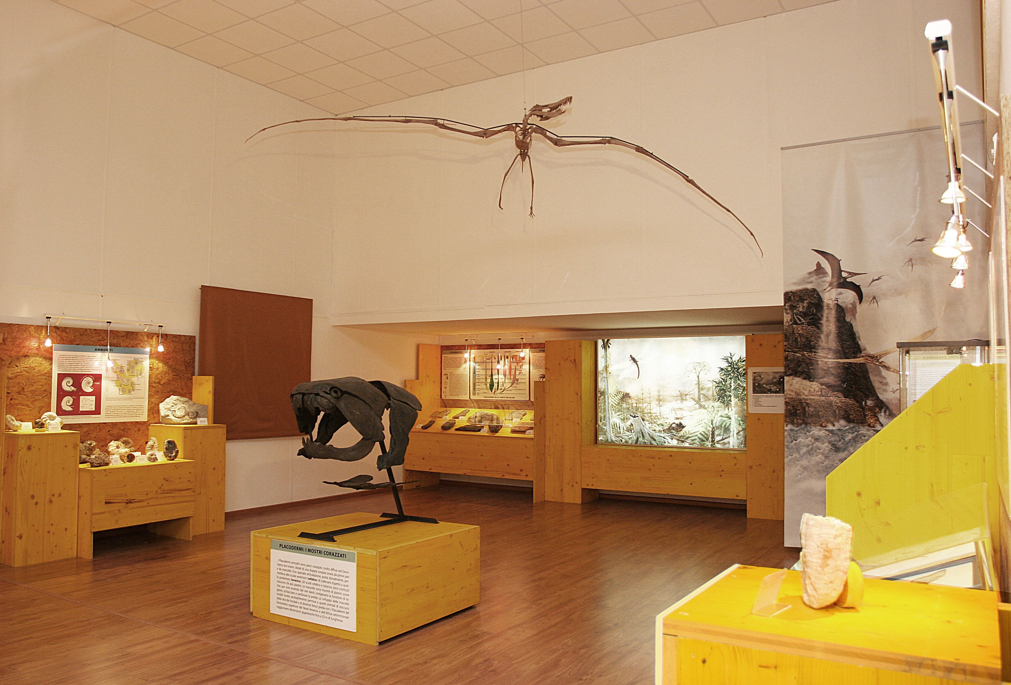In mostra all'Unical un cranio di Tyrannosaurus rex