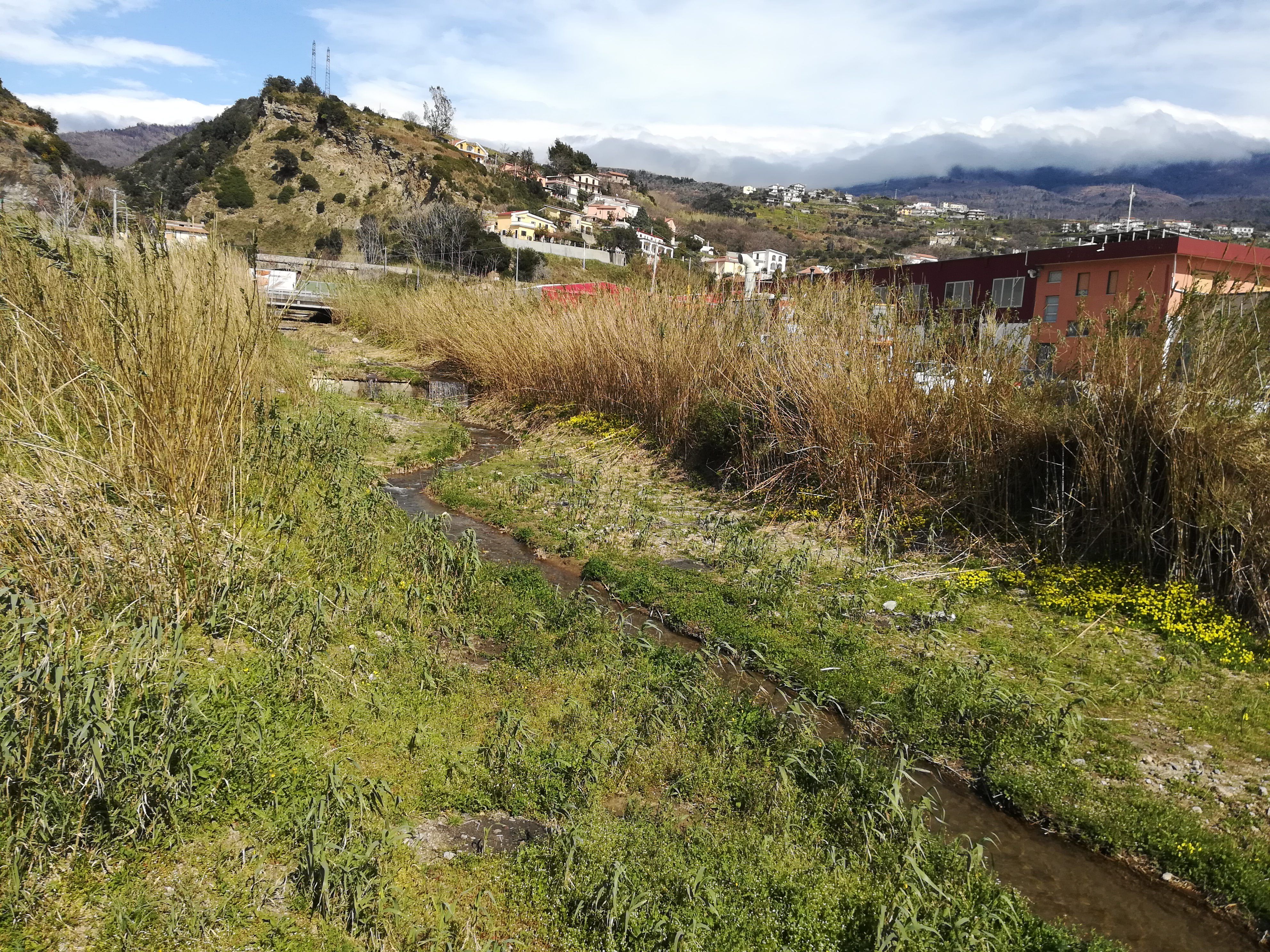 Scarichi industriali nel Tirreno, il caso dello stabilimento di Fuscaldo
