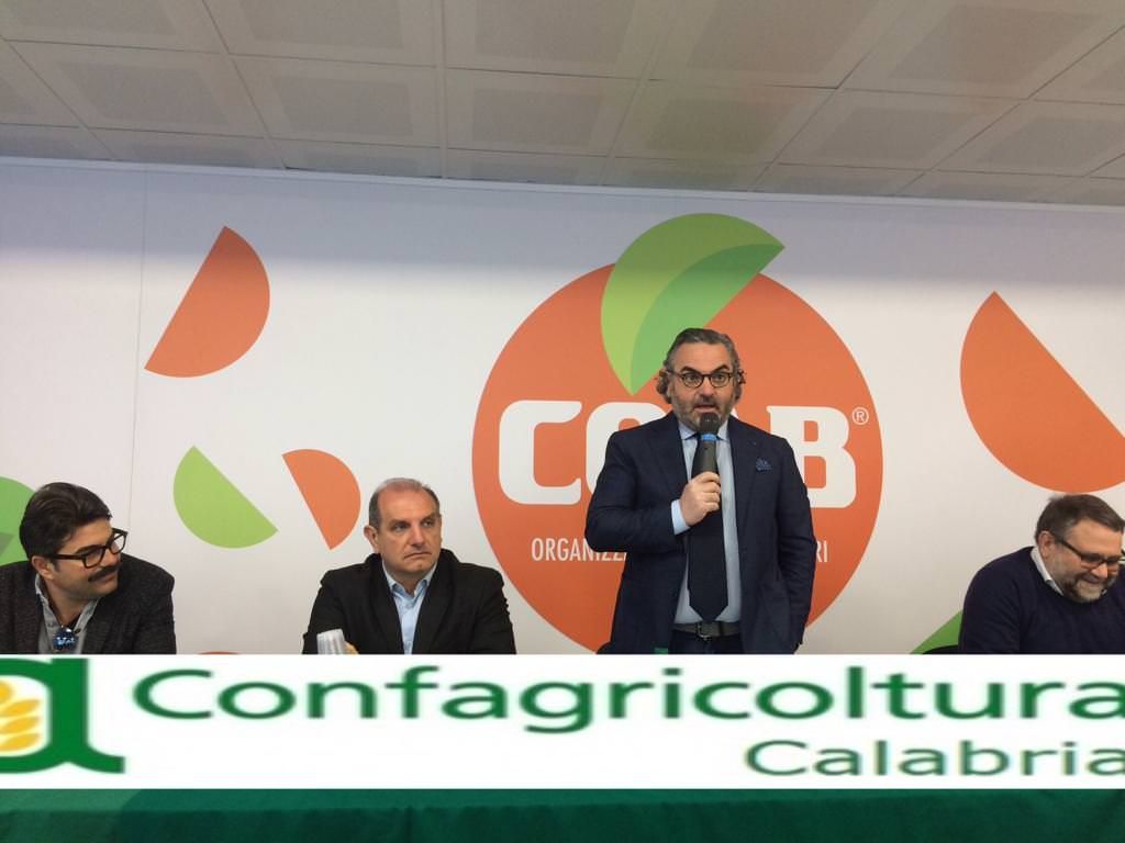 Statti: «Il futuro dell’agricoltura passa dall’innovazione»