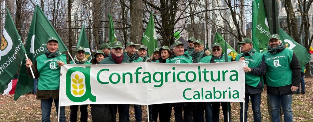 Agricoltori a Bruxelles, Giansanti: «reciprocità negli accordi commerciali»