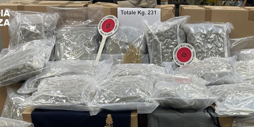 Maxi carico di marijuana al porto di Civitavecchia