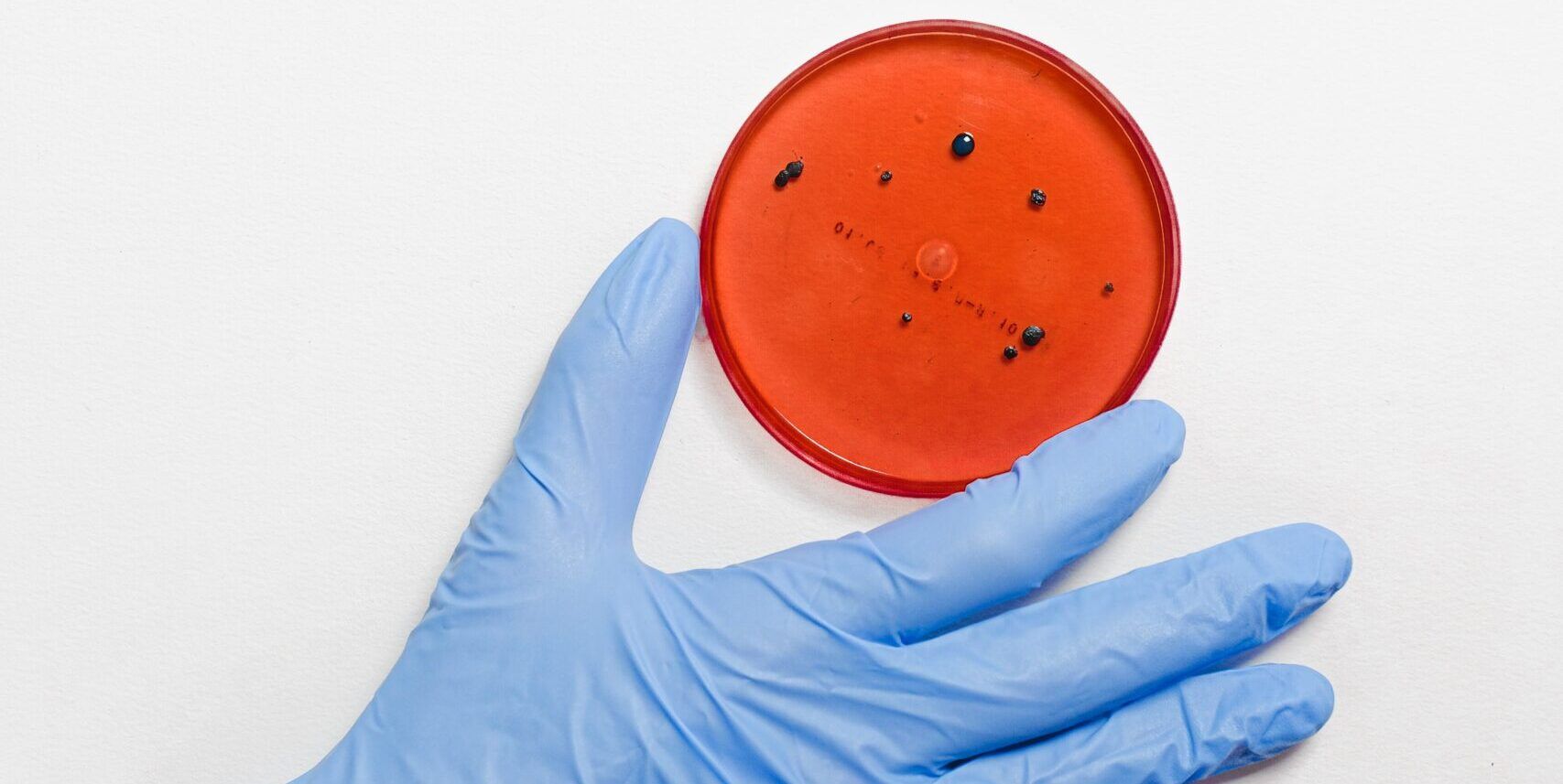 Covid, positivi due studenti: scuole chiuse a Strongoli