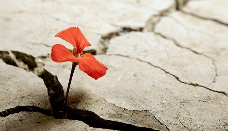 “Le donne si raccontano”, nel Chiostro di Lamezia storie di forza e resilienza