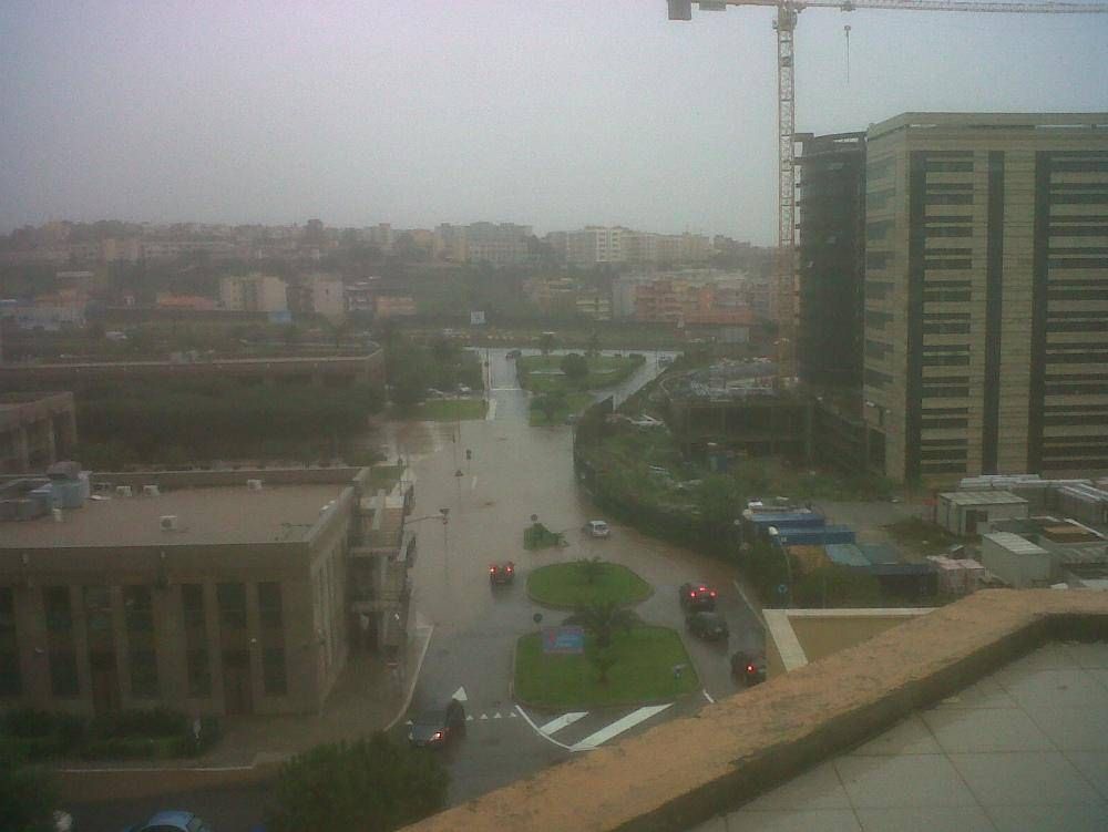 Cade albero nel Cosentino, ferita una donna