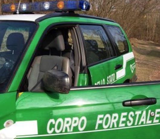 Strongoli, scoperta discarica abusiva