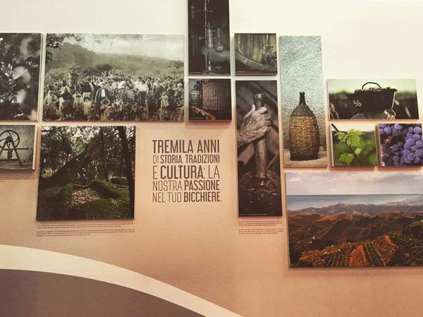 Il "5 Star wines award" a due vini calabresi