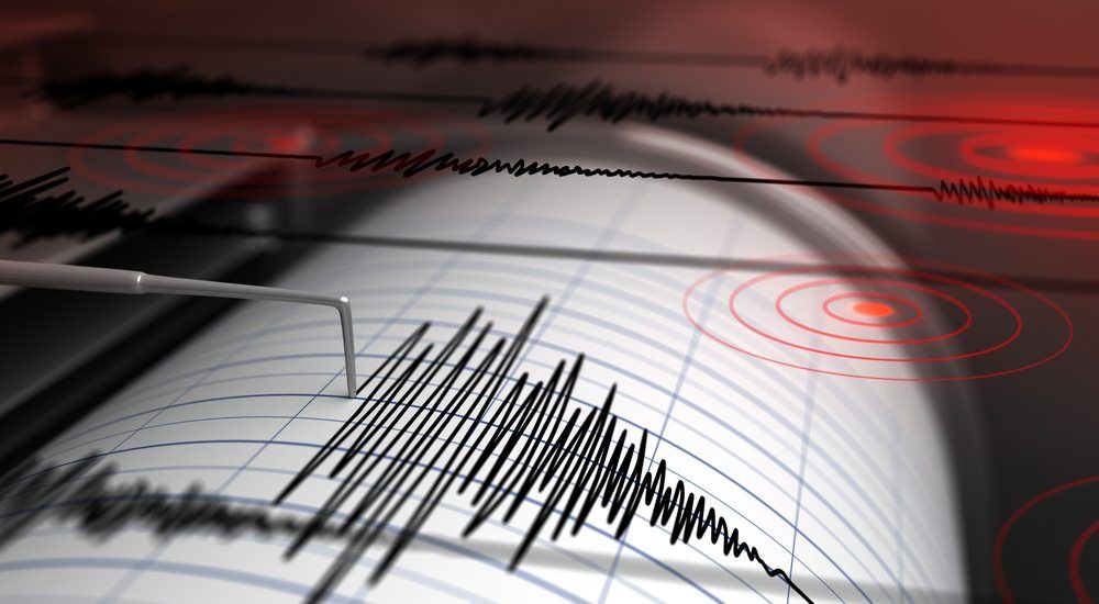 Terremoto nella notte nel Reggino