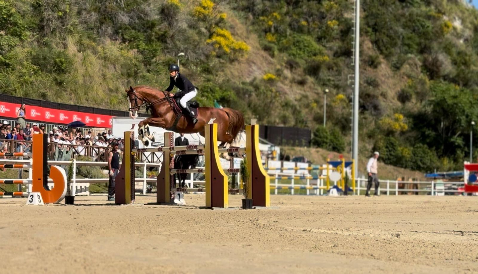 Catanzaro capitale dell’equitazione: exploit per il Campionato Regionale