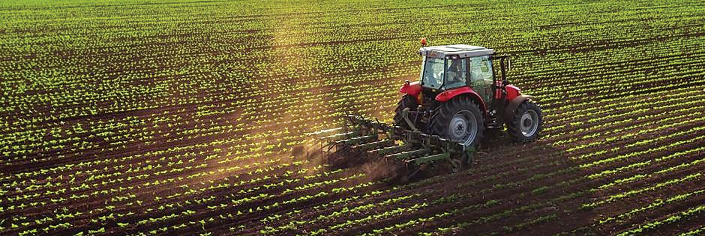 Cambia la normativa sui lavoratori stranieri: la soddisfazione di Confagricoltura