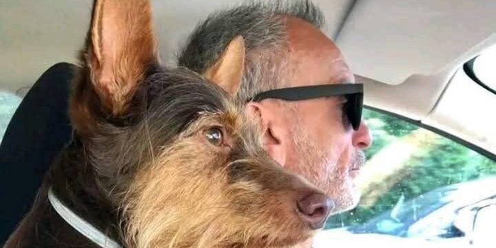 Calabrese morto in un incidente stradale a Capodanno, si costituisce l’autista “pirata”